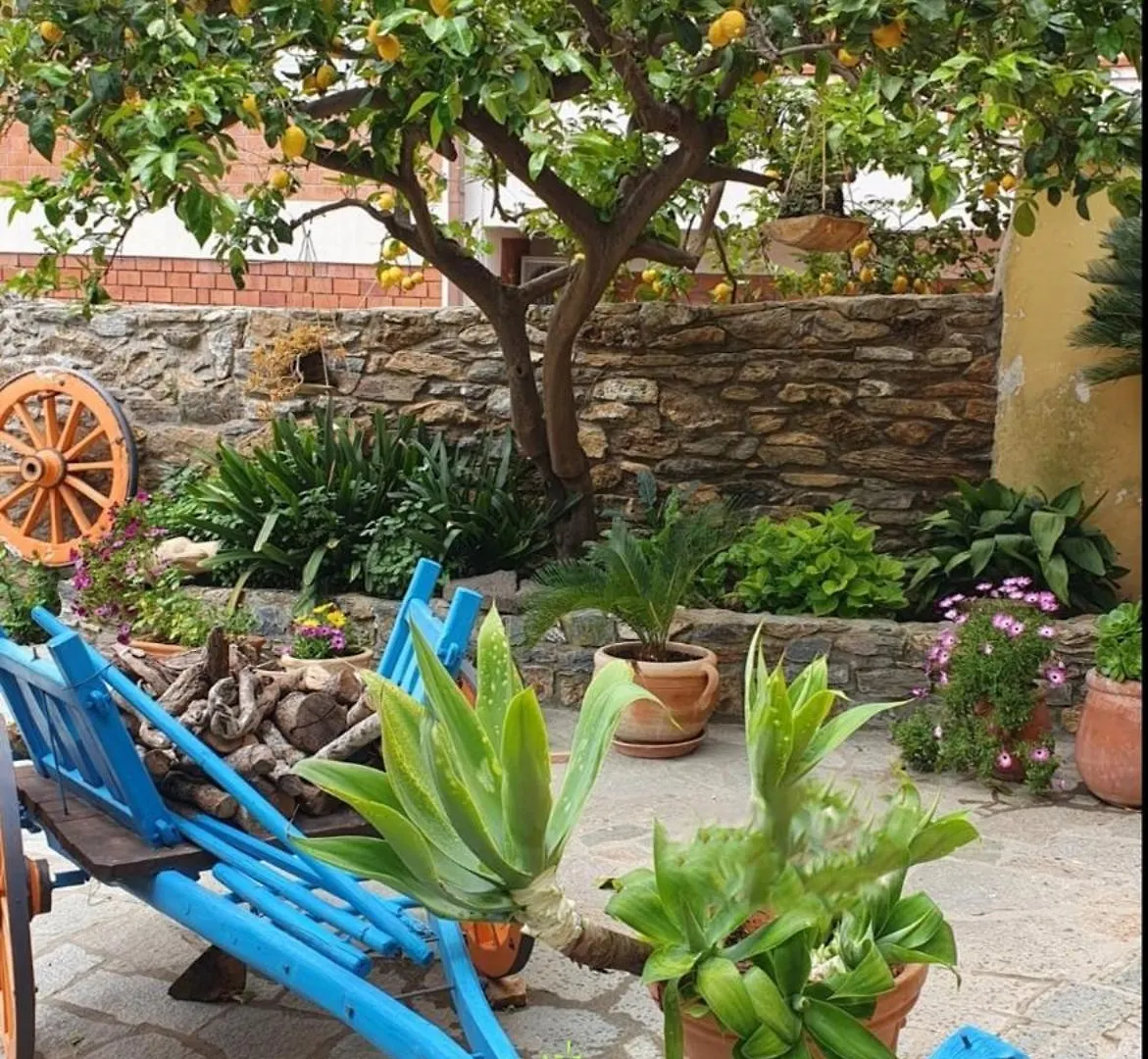 Bed and Breakfast Su Carreri Armungia Bed & Breakfast