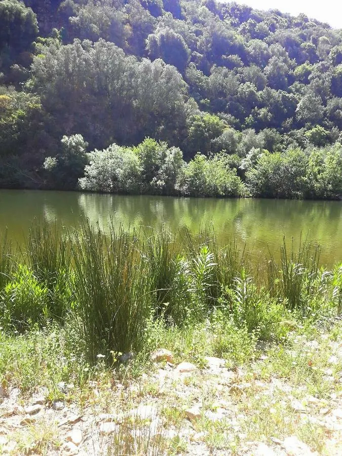 Bed & Breakfast Bed and Breakfast Su Carreri Armungia Italia